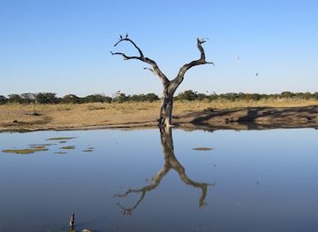 zimbabwe/lowveld/landmark/hwange-national-park