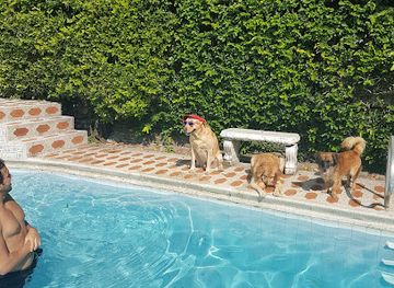 colombia/cali/ciudad-jardin/landmark/condominio-a-balcones-de-ciudad-jardin