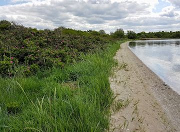 germany/mecklenburg/landmark/gedenkstein-an-der-landesgrenze-mecklenburg-vorpommern-schleswig-holstein