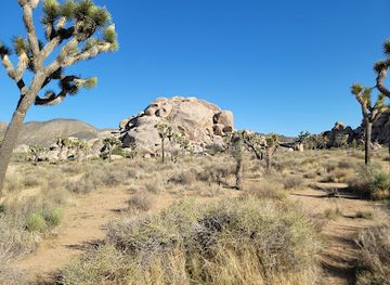 california/joshua-tree-national-park/landmark/cap-rock