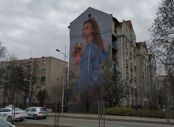 serbia/novi-sad/landmark/nice-picture-on-the-wall