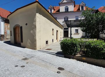 slovenia/maribor/stara-trta/landmark/oldest-vine-museum
