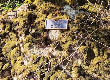 california/shasta-cascade/landmark/judy-kay-memorial-o-brien-creek-inlet-sacramento-river-lake-shasta