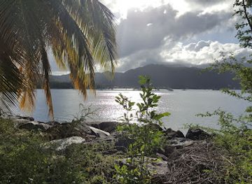 dominica/indian-river/landmark/cabrits-national-park