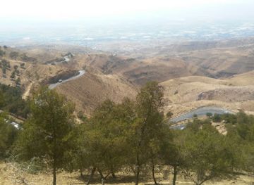 jordan/northern-jordan-valley/landmark/abu-obeida-amer-bin-al-jarrah-s-tomb