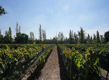argentina/cuyo/landmark/clos-de-chacras-bodega-y-restaurante