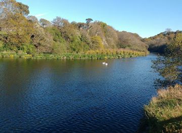 united-kingdom/dyfed/attraction/welsh-wildlife-centre-2
