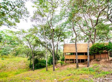 malawi/dzalanyama-forest-reserve/landmark/dzalanyama-forest-lodge