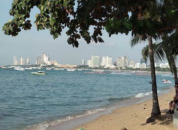 thailand/pattaya/south-pattaya/landmark/pattaya-walking-street