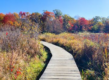 connecticut/litchfield-hills/landmark/little-pond-boardwalk-trail