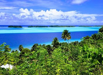 french-polynesia/raiatea/landmark/wwii-guns-faanui