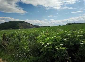 hungary/borzsony-mountains/landmark/nagyborzsony-forest-railway