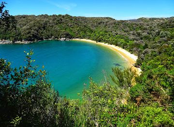 new-zealand/abel-tasman-national-park/landmark/abel-tasman-coast-track