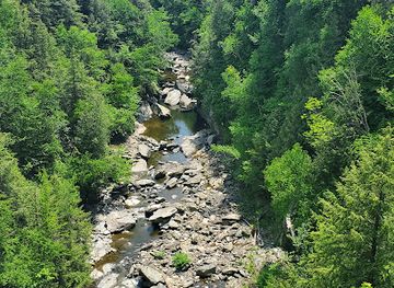 canada/eastern-townships/landmark/foresta-lumina