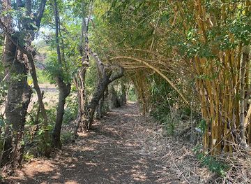 nicaragua/apoyo-lagoon/landmark/nicaragua-butterfly-reserve
