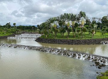 cameroon/tiko-beach/landmark/parque-nacional-de-malabo
