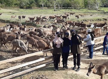 brunei/lamunin/landmark/deer-farm