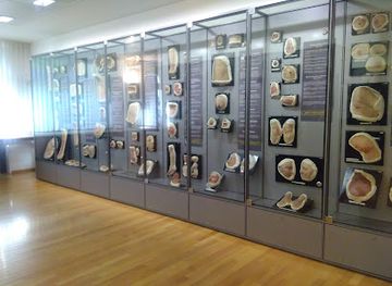 switzerland/zurich/landmark/moulagen