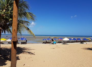 brazil/jericoacoara/landmark/samba-rock-cafe-praia-de-jericoacoara