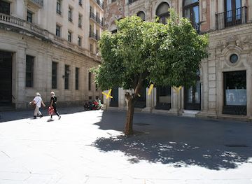 spain/seville/el-arenal/landmark/yellow-tree