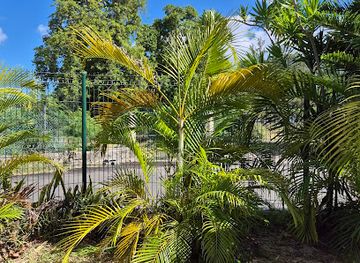 mauritius/flic-en-flac/landmark/creole-shack-table-d-hote-upon-reservation-only-on-whatsapp-one-two-or-three-days-prior