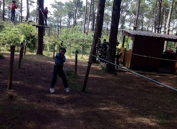 portugal/figueira-da-foz/landmark/figueira-da-foz-adventure-park