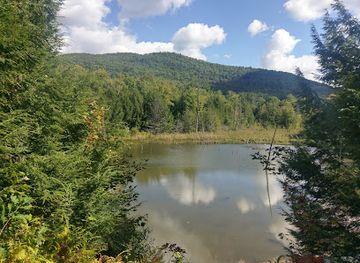 vermont/green-mountains-national-forest/landmark/audubon-vermont-green-mountain-audubon-center