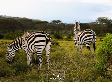 kenya/lake-naivasha/landmark/lake-oloidien