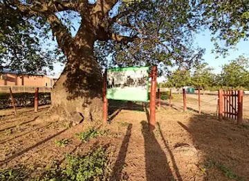 Samuu histórico