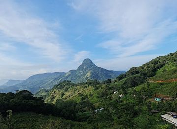 sri-lanka/horton-plains-national-park/landmark/knuckles-forest-reserve