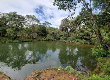 ecuador/northeast-oriente/landmark/paseo-turistico-del-rio-puyo