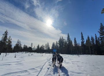 norway/trysil/landmark/fjell-huskies-adventures-as