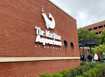 connecticut/norwalk/landmark/the-maritime-aquarium-at-norwalk