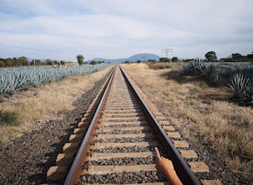 mexico/tequila-valley/landmark/unesco-world-heritage-site-agave-landscape-and-ancient-industrial-facilities-of-tequila