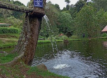 costa-rica/los-santos-region/landmark/truchas-selva-madre