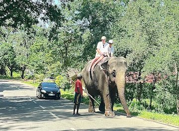 sri-lanka/sigiriya/landmark/rock-view-elephant-sufari-ravi-sigiriya