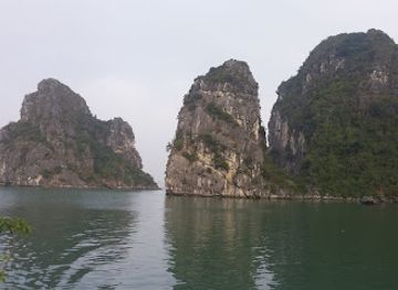 vietnam/ha-long/landmark/bai-chay-market