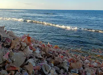 La pointe
