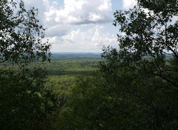 wisconsin/great-river-road/landmark/wisconsin-state-historical-marker-195-the-passenger-pigeon