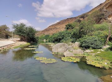 oman/salalah-coastal-plain/landmark/ain-razat