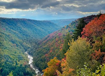 west-virginia/dolly-sods-wilderness/landmark/pendleton-overlook