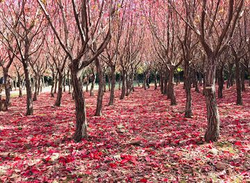 south-korea/jeju-island/landmark/hangpaduri-hangmong-historic-site
