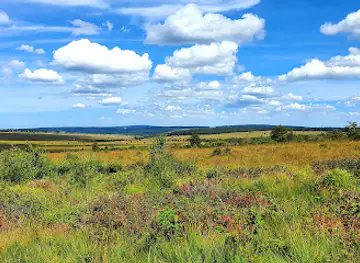 Panorama sur les Hautes Fagnes / Hohes Venn