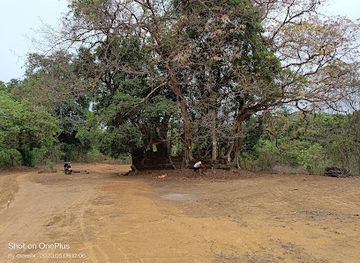 india/goa/landmark/oldest-known-inscription-of-goa