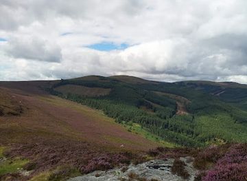 ireland/wicklow-mountains/landmark/derrybawn-mountain