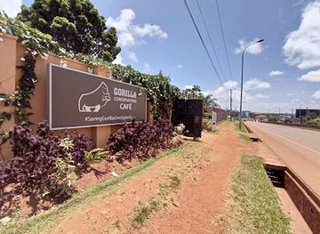 uganda/entebbe/landmark/gorilla-conservation-cafe