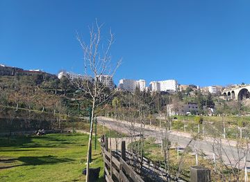 algeria/constantine/landmark/salah-bey-viaduct