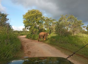 sri-lanka/minneriya-national-park/landmark/minneriya-kaudulla-jeep-safari