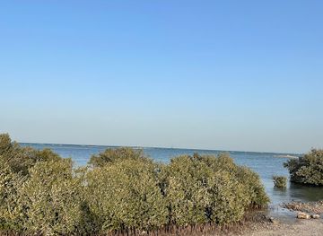 qatar/al-wakra-beach/landmark/mangroves-park-al-wakrah