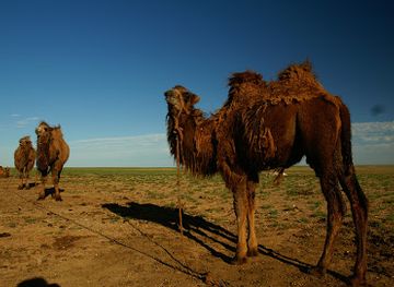 mongolia/ikh-nuur-basin/landmark/view-mongolia
